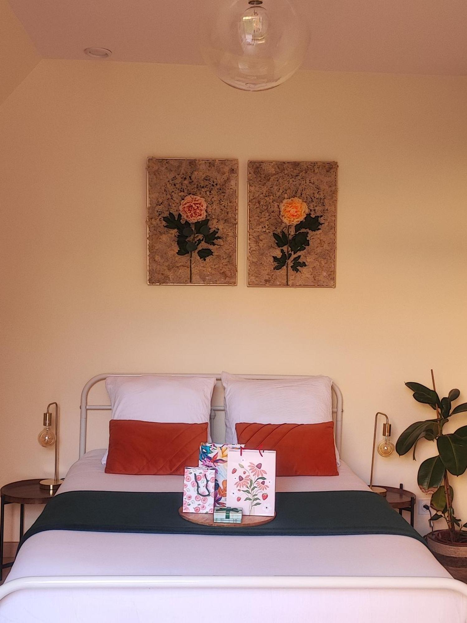Le Cocoon Dore Poitiers